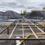 WhatsApp Image 2025-10-14 at 14.46.24